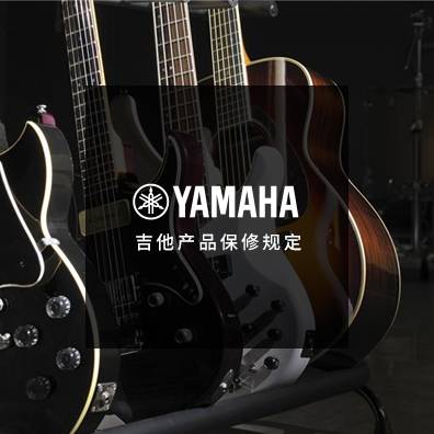 吉他、贝斯和音箱